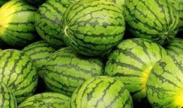 吃瓜網(wǎng)官網(wǎng)免費(fèi)觀看 吃瓜網(wǎng)官網(wǎng),免費(fèi)觀看，暢享娛樂盛宴