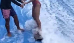 沖浪網友快樂吃瓜,揭秘網絡熱點背后的故事