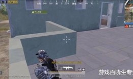 和平精英吃瓜避雷視頻,吃瓜避雷指南，揭秘熱門視頻背后的真相