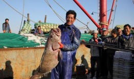 舟山吃瓜漁民事件,一場引發(fā)社會(huì)關(guān)注的海洋爭議