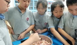 禮嘉中學(xué)吃瓜