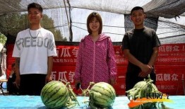 杭州吃瓜比賽,吃瓜比賽狂歡，瓜王爭霸一觸即發