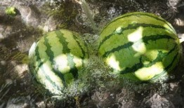 吃瓜地形碼,揭秘瓜鄉風情與自然奇觀