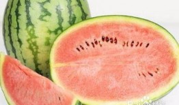 拉肚可以吃瓜么,吃瓜真的可行嗎？揭秘瓜類食物的利與弊