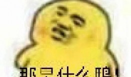 吃瓜罪表情包,揭秘網(wǎng)絡(luò)時(shí)代的“圍觀”文化