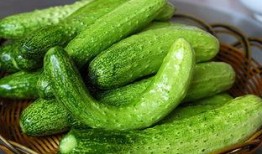 阿諾吃的什么瓜,阿諾的瓜界探險記