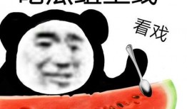 吃瓜資格,揭秘吃瓜資格背后的故事