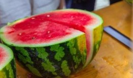 石家莊吃瓜大學,吃瓜大學生的麻辣觀察記