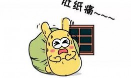 吃瓜群眾輕松吃瓜,暢享夏日歡樂(lè)時(shí)光