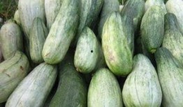 酥瓜怎么吃的,解鎖夏日清新美味