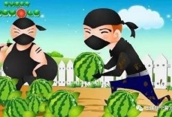 吃瓜趣事圖片,笑料百出，生活瞬間