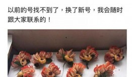 黑粉吃瓜總站,黑粉吃瓜總站獨家爆料，明星幕后真相大曝光！