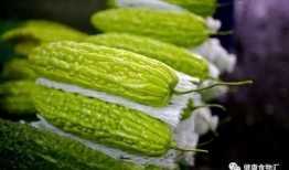 吃瓜35,一場關(guān)于美食與生活的深度對話