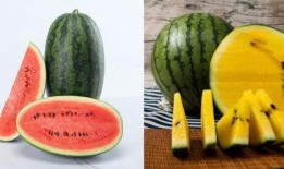 吃瓜的過(guò)程圖片,揭秘夏日消暑新潮流