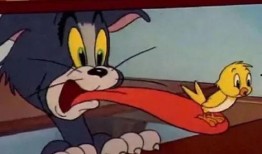 吃瓜湯姆貓頭像,揭秘吃瓜湯姆貓的趣味生活