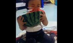 帶孩子吃瓜視頻,帶娃吃瓜視頻趣味回顧