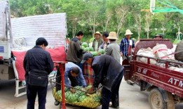 緬北老街吃瓜群眾,吃瓜群眾的街頭熱話