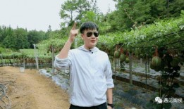 謝鵬程吃瓜,揭秘娛樂圈的“瓜田”風云