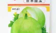 白殿瘋可以吃小白瓜嗎,白殿瘋患者可安心食用的小白瓜探索