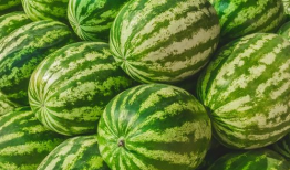 福州吃瓜星野,探尋美食與文化的交融之旅