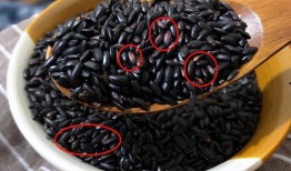 黑料不打料入口,探尋網絡世界的真實與虛假