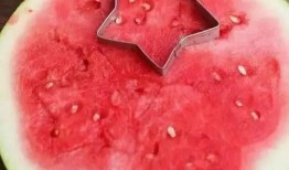 瓜娃子吃瓜不吐籽,揭秘瓜子的神奇魅力