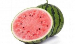 吃麒麟瓜是什么梗,網(wǎng)絡(luò)熱梗背后的美食傳奇