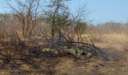 大型吃瓜現場搞笑,笑料橫飛，笑不活了！