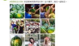 學校吃瓜網站,揭秘學校吃瓜網站背后的熱點事件