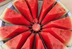 杭州吃瓜比賽,吃瓜比賽狂歡，瓜王爭霸一觸即發(fā)