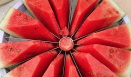 杭州吃瓜比賽,吃瓜比賽狂歡，瓜王爭霸一觸即發