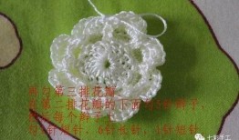 吃瓜手工鉤花教程,跟隨吃瓜手工鉤花教程，打造個性家居裝飾