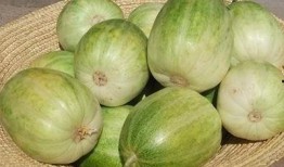 香瓜弟弟 今日吃瓜,揭秘娛樂圈新鮮事