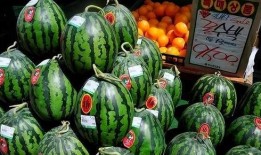 多人吃瓜怎么切,多人共享美食的切割藝術(shù)