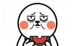 吃瓜都用什么網絡用語,揭秘網絡吃瓜用語背后的趣味與智慧