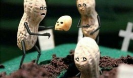 小表弟吃瓜,小表弟的夏日吃瓜趣事