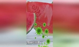 吃瓜影響大便嗎,揭秘日常飲食對(duì)腸道健康的影響