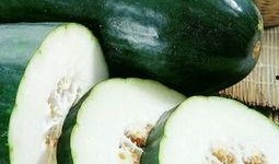 二瓜吃瓜瓜,一場別開生面的瓜界盛宴