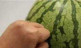 學伴吃瓜,揭秘校園里的那些“瓜”