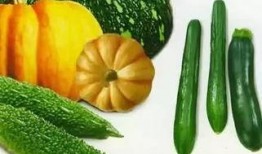 滿樹瓜怎么吃,解鎖夏日美味新體驗