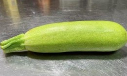 只吃葫蘆瓜可以吃的嗎,揭秘葫蘆瓜的營養與食用價值