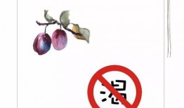 形容吃瓜的瓜楂的成語,成語中的吃瓜智慧