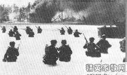 前線分析吃瓜事件,吃瓜事件背后的真相與爭議