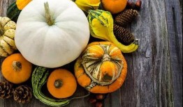 優雅多才的吃瓜,揭秘娛樂圈幕后故事