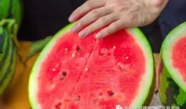 吃瓜水冰月大學(xué)