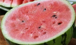 吃麒麟瓜是什么梗,網(wǎng)絡(luò)熱梗背后的美食傳奇