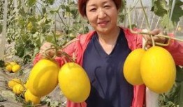 沁陽吃瓜,探尋當地特色美食的甜蜜奧秘