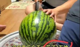 多人吃瓜怎么切,多人共享美食的切割藝術(shù)
