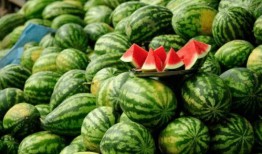 哪個網紅吃瓜,一場娛樂圈的狂歡盛宴