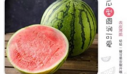 優雅多才的吃瓜,揭秘娛樂圈幕后故事